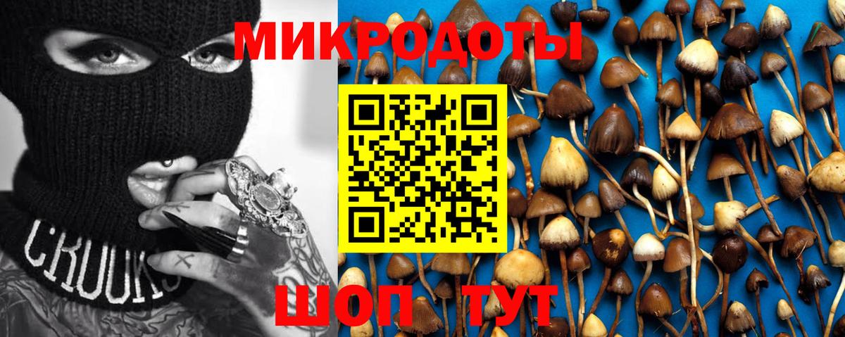 Псилоцибиновые грибы Cubensis  Вход с VPN  Новый Уренгой 